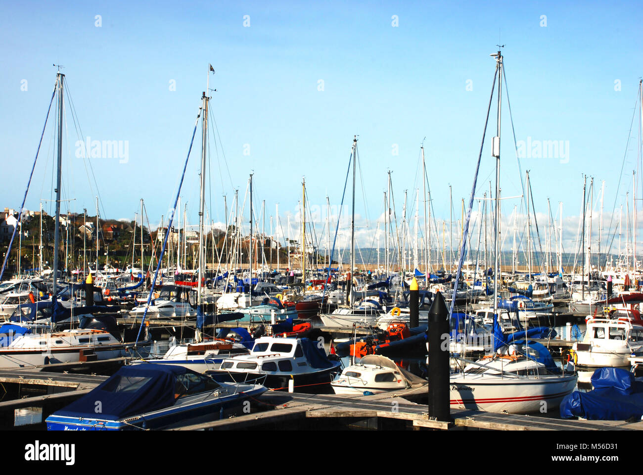 Marina bondé à Bangor, Irlande du Nord, Royaume-Uni Banque D'Images