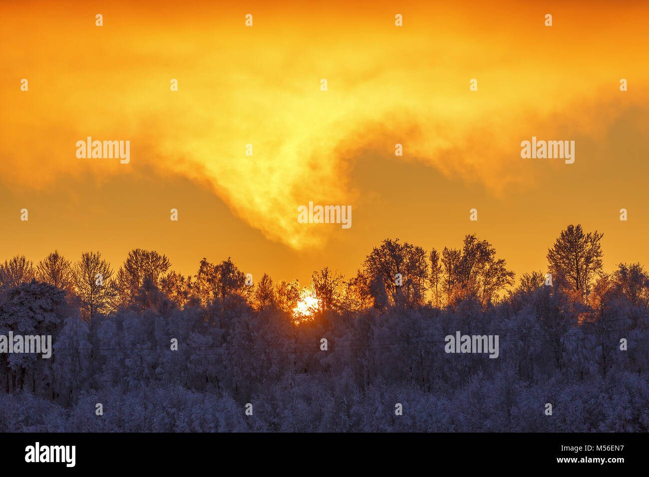 Coucher du soleil au-dessus d'une forêt avec le gel et la neige en hiver Banque D'Images