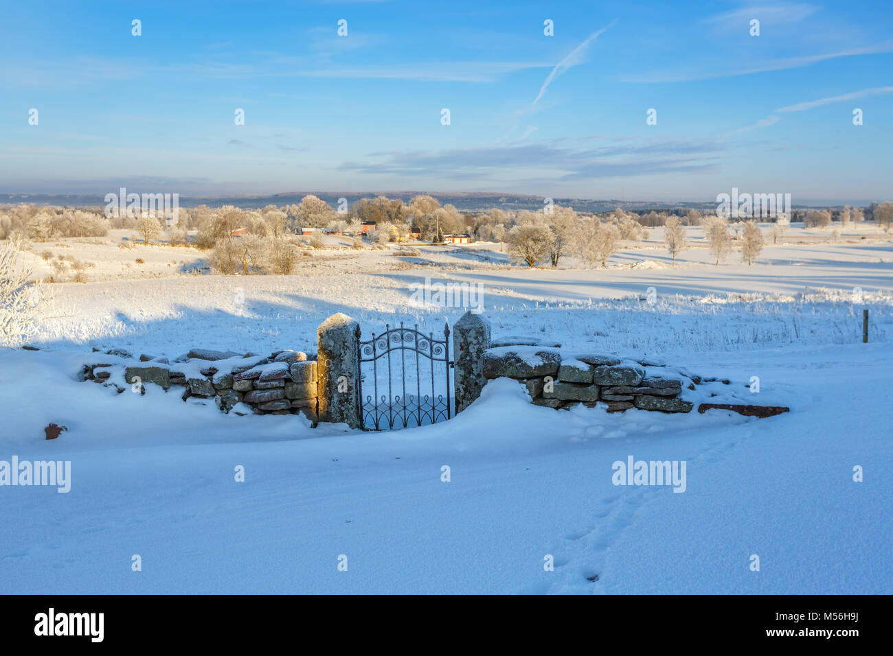 Paysage rural enneigé avec une porte couverte de neige Banque D'Images