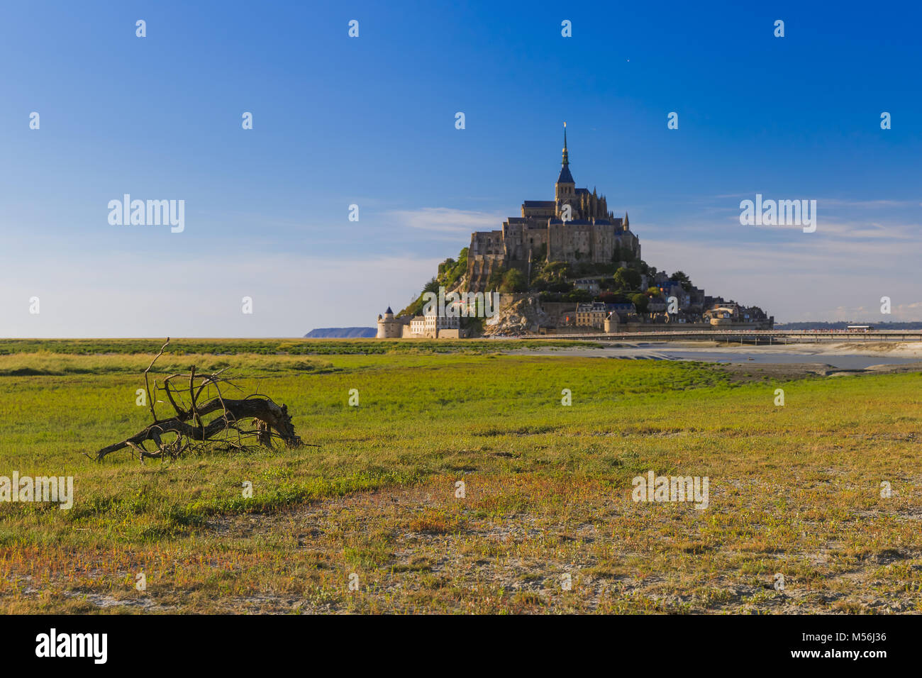Mont st michel bus Banque de photographies et d’images à haute ...
