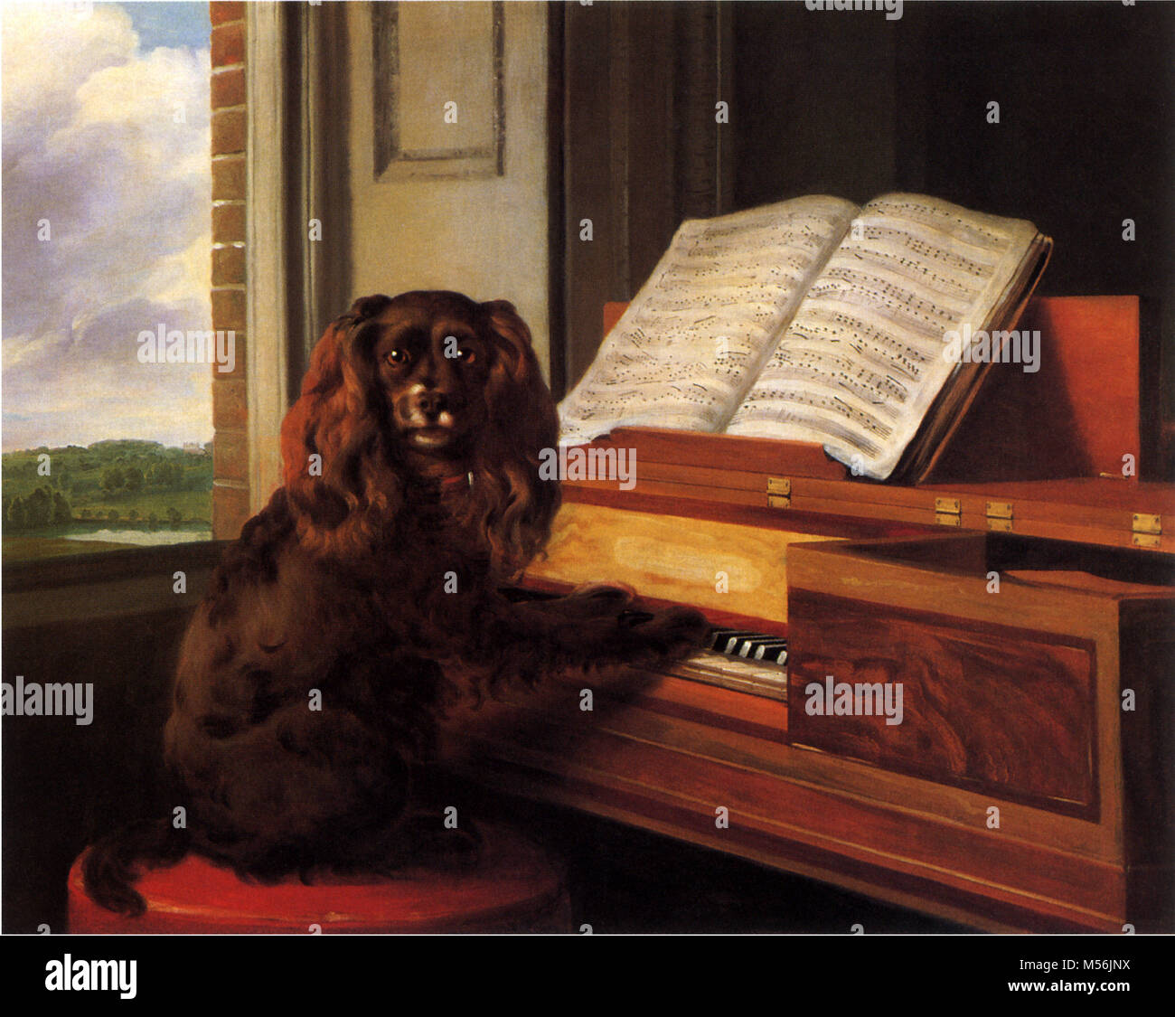Portrait d'un chien musicale extraordinaire Banque D'Images