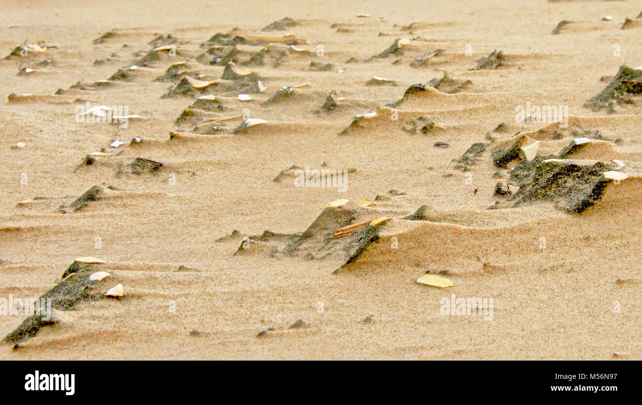 Windn traces derrière des pierres et des fragments de coquillages sur la plage, selective focus Banque D'Images