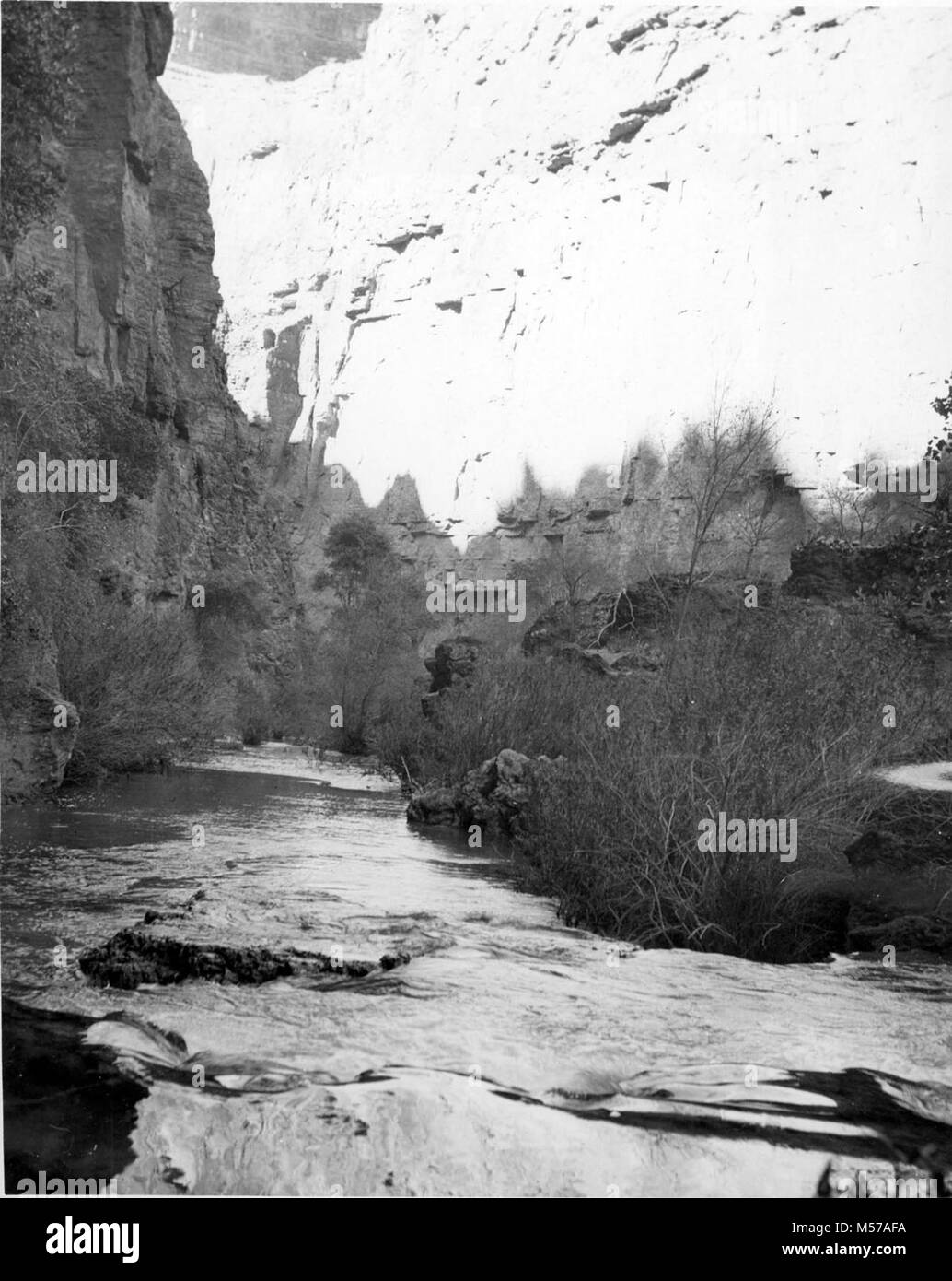 Historique du Grand Canyon. HAVASU CREEK DANS LA RÉGION DE HAVASU CANYON HAVASUPAI, réserve indienne. . CIRCA 1949. . Banque D'Images