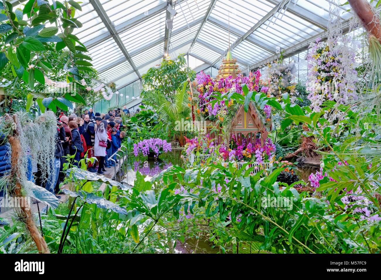 Affichage orchidées et les foules à la Princesse Diana émissions Kew Gardens Kew UK Surrey Banque D'Images