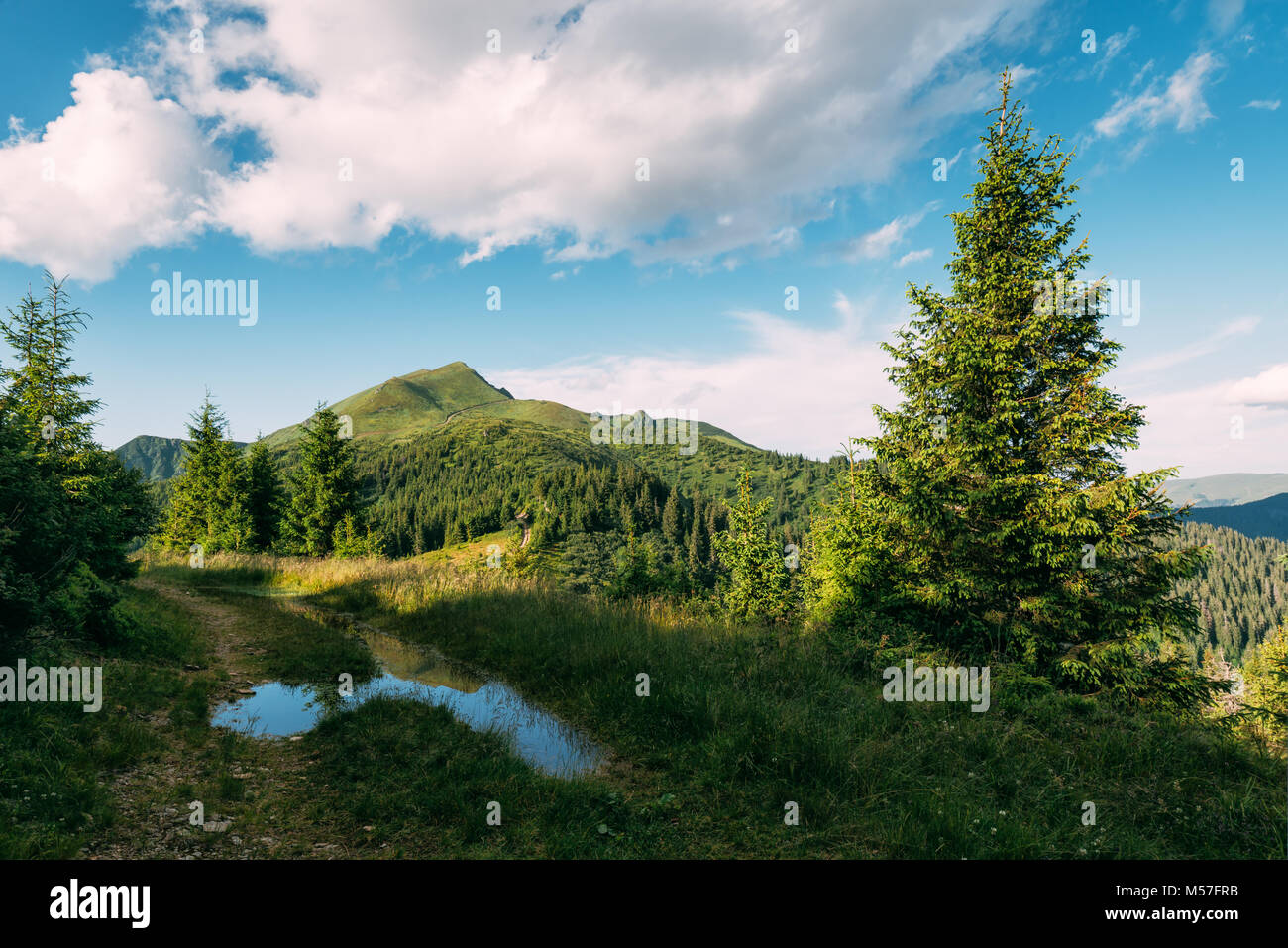Paysage d'été pittoresque en journée ensoleillée Banque D'Images