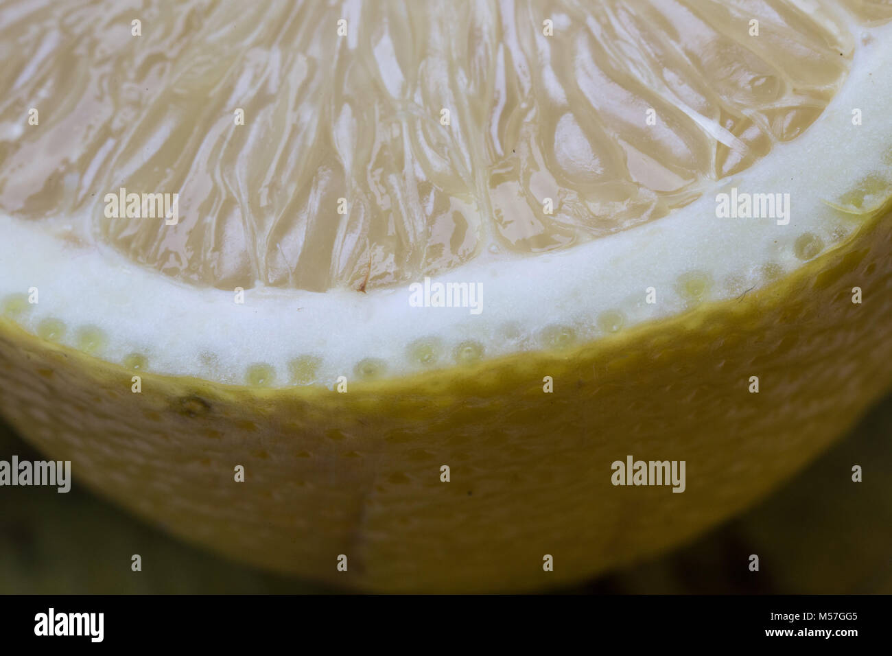 Citron, macro, fruit, texture, jaune, Peel, des bulles, des stries, l'éblouissement, l'eau, acide, toning Banque D'Images