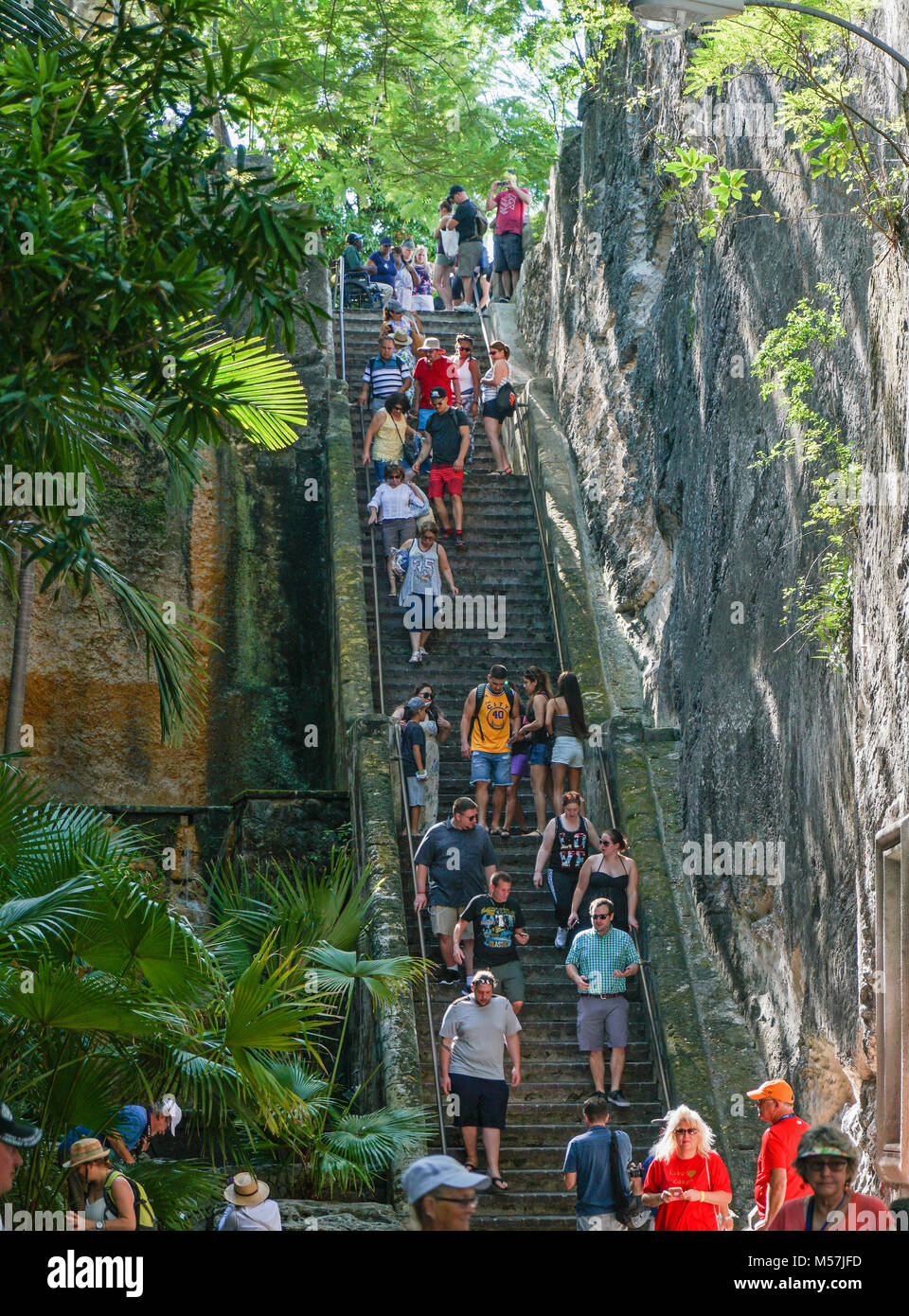 Étapes de la reine, Nassau, Bahamas Photo Stock Alamy