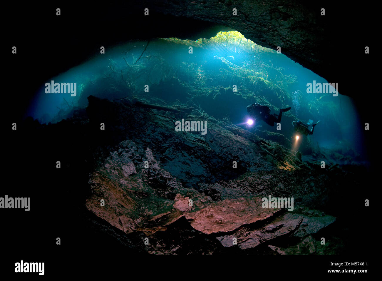 Cave diver à l'embouchure de la grotte El Eden, Cenotes, Tulum, Yucatan, Quintana Roo, Mexique, Caraïbes Banque D'Images