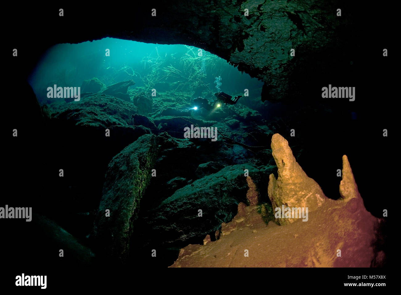Cave diver à l'embouchure de la grotte El Eden, Cenotes, Tulum, Yucatan, Quintana Roo, Mexique, Caraïbes Banque D'Images
