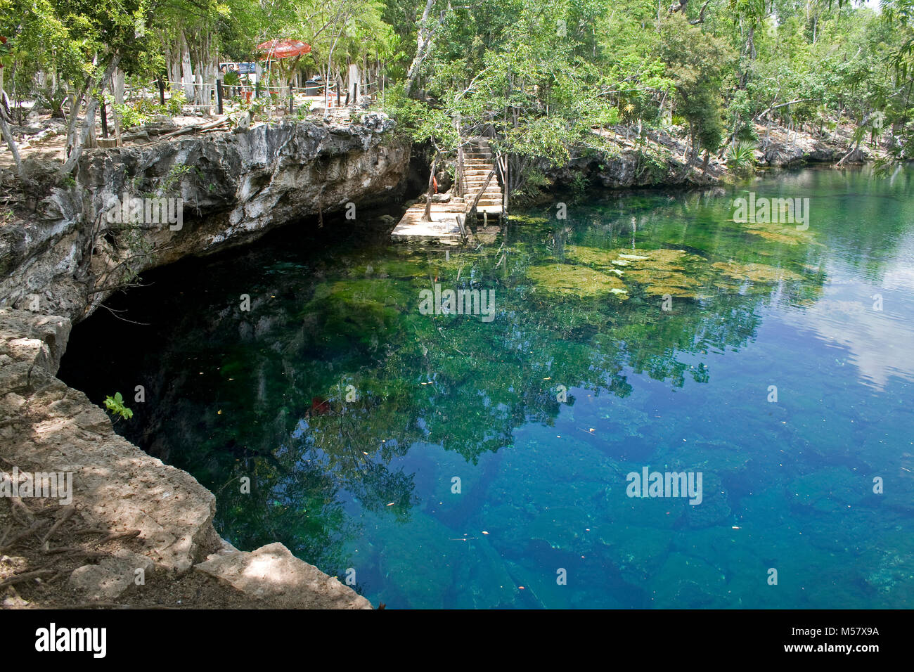 Escalier et platfom Cenote à El Eden, Cenotes, Tulum, Riviera Maya, Quintana Roo, Yucatan, Mexique, Caraïbes Banque D'Images