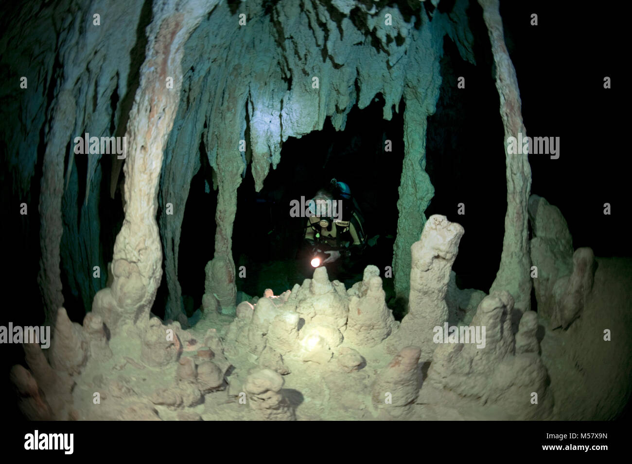 L'intérieur du plongeur spéléo Grand cénote cénote, Cenotes, Tulum, Yucatan, Quintana Roo, Mexique, Caraïbes Banque D'Images