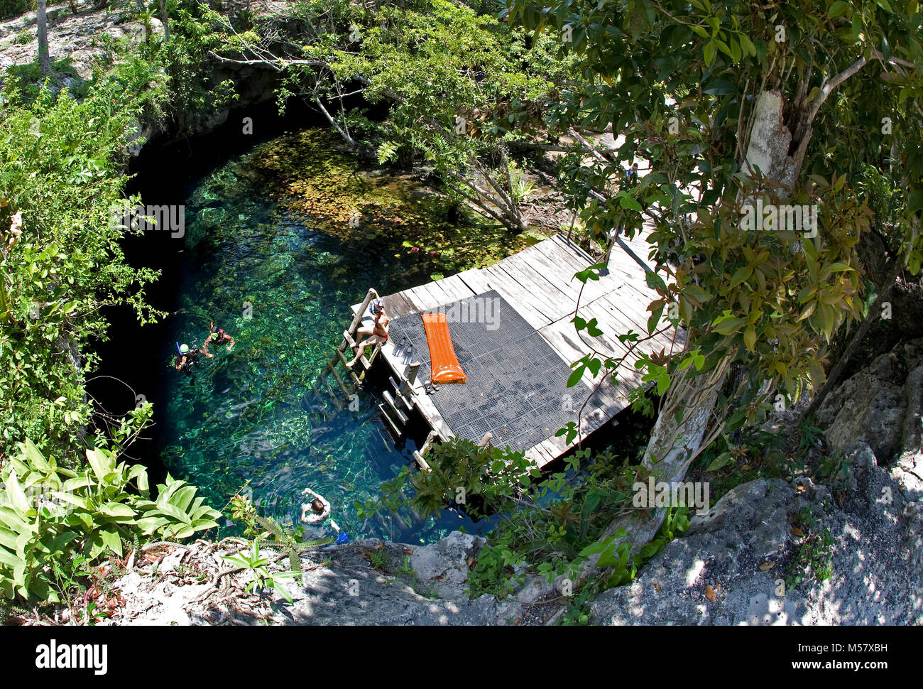 Snorkeler natation dans l'eau cristalline de Grand Cenote, Cenotes, Tulum, Riviera Maya, Quintana Roo, Yucatan, Mexique, Caraïbes Banque D'Images