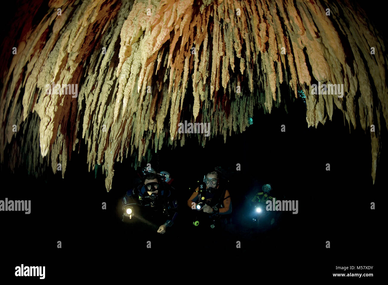 Scuba Diver en vertu de l'intérieur du cenote stalagtites Taj Mahal, Cenotes, Tulum, Yucatan, Quintana Roo, Mexique, Caraïbes Banque D'Images
