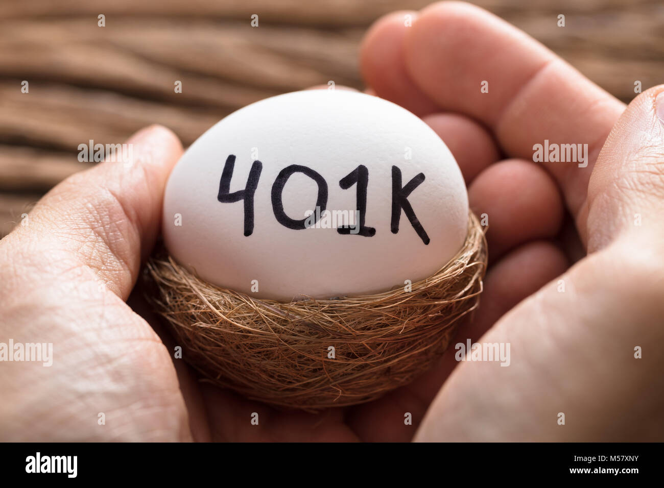 Closeup of hands holding 401K white egg in nest Banque D'Images