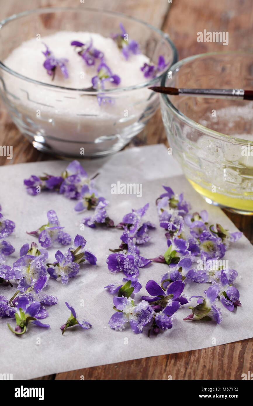 Préparation des violettes confites Banque D'Images