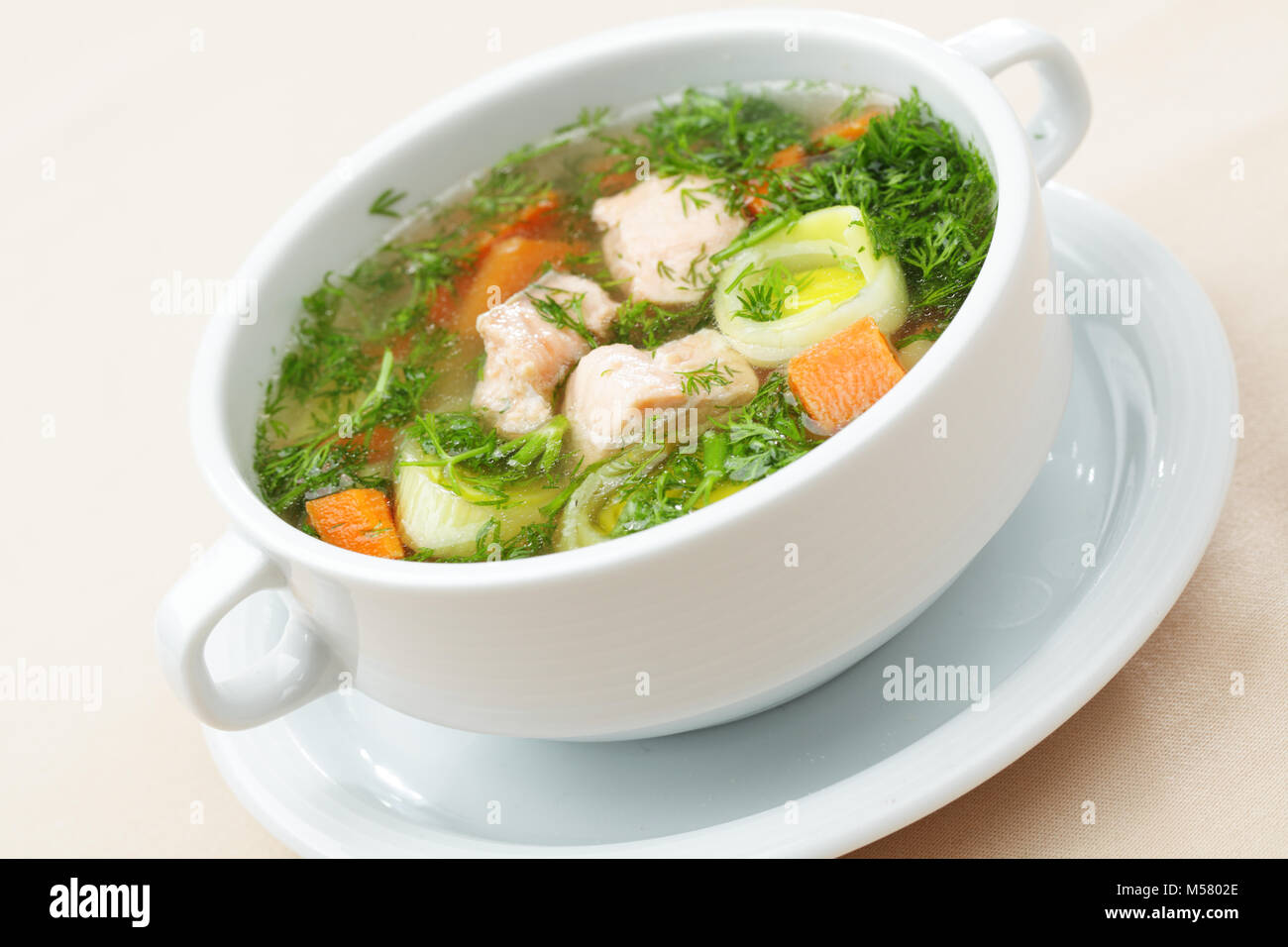 Soupe avec le saumon et les légumes dans un bol blanc Banque D'Images