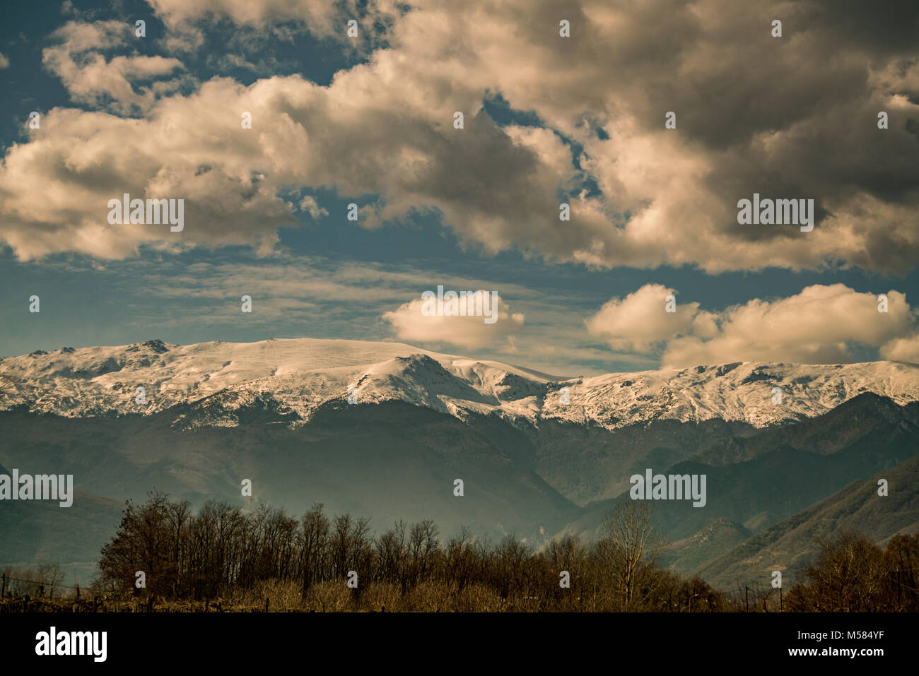 Ciel, montagne avec la neige et les arbres Scenic, Grèce Banque D'Images