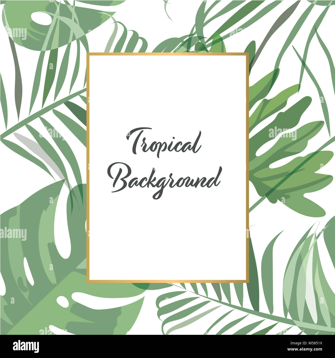 Vecteur De Fond Tropical Vert Foret Modele Pour Carte D Invitation Affiches Papier Peint Conception De La Page De Garde Photo Stock Alamy