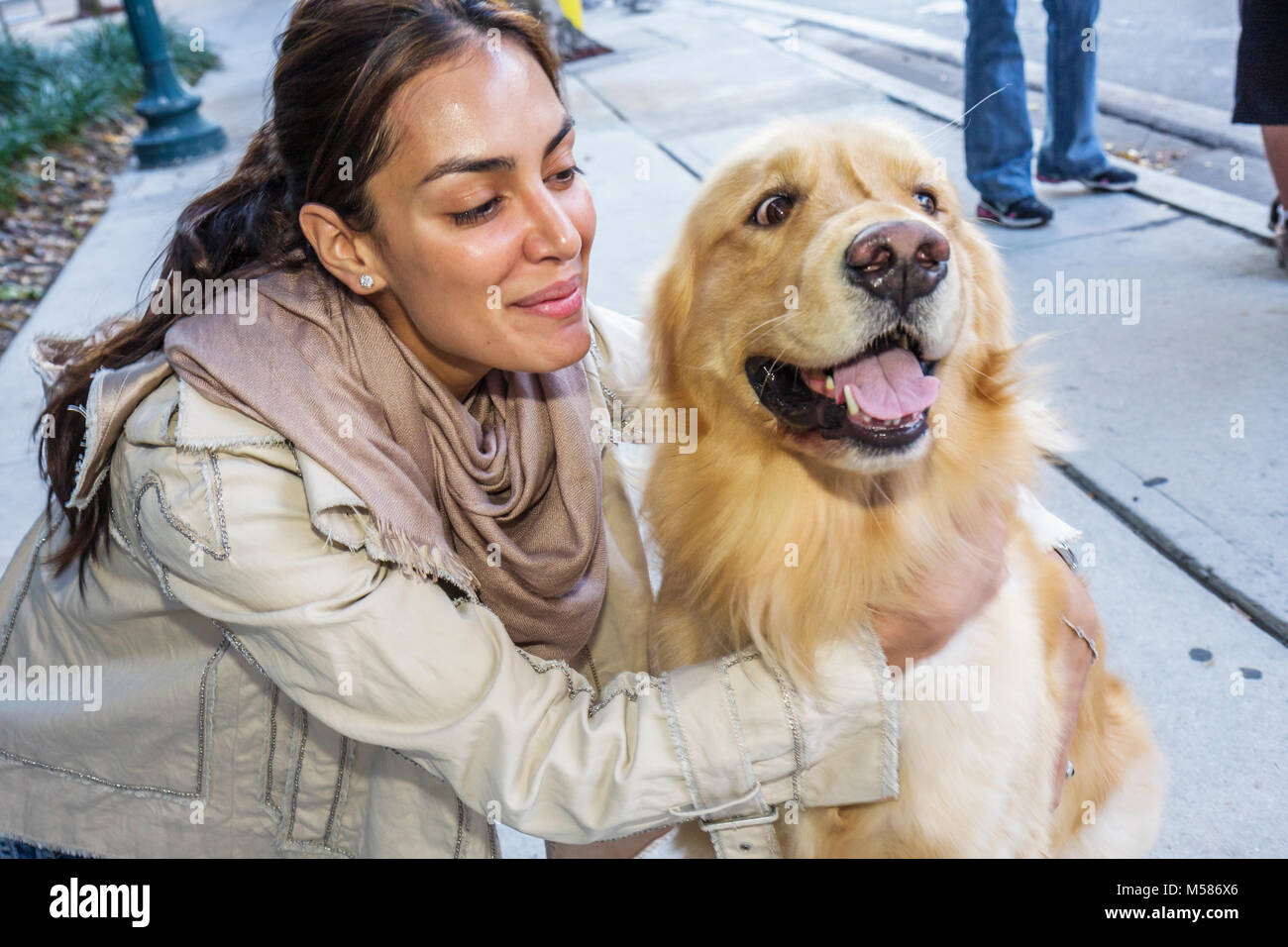 Miami Florida, Brickell District, hispanique latin Latino ethniquement immigrants minorités ethniques, adultes femmes femmes femme dame, chiens, animaux de compagnie, cani Banque D'Images