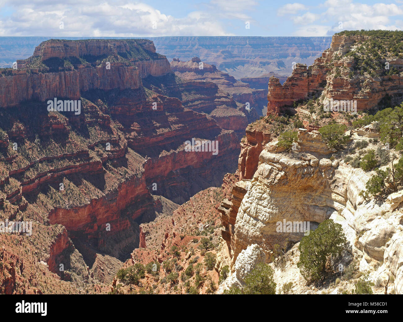 Le Parc National du Grand Canyon vue depuis Cape Royal Amphitheatre . Un site de plein air populaires pour les mariages et réceptions, Cape Royal Amphitheatre est situé à 23 miles (37 km) à partir de la rive nord surface développée. Un panneau indique au-delà de la zone de pique-nique sur un site avec faible log des bancs. Peut accueillir jusqu'à 40 personnes. NPS Banque D'Images