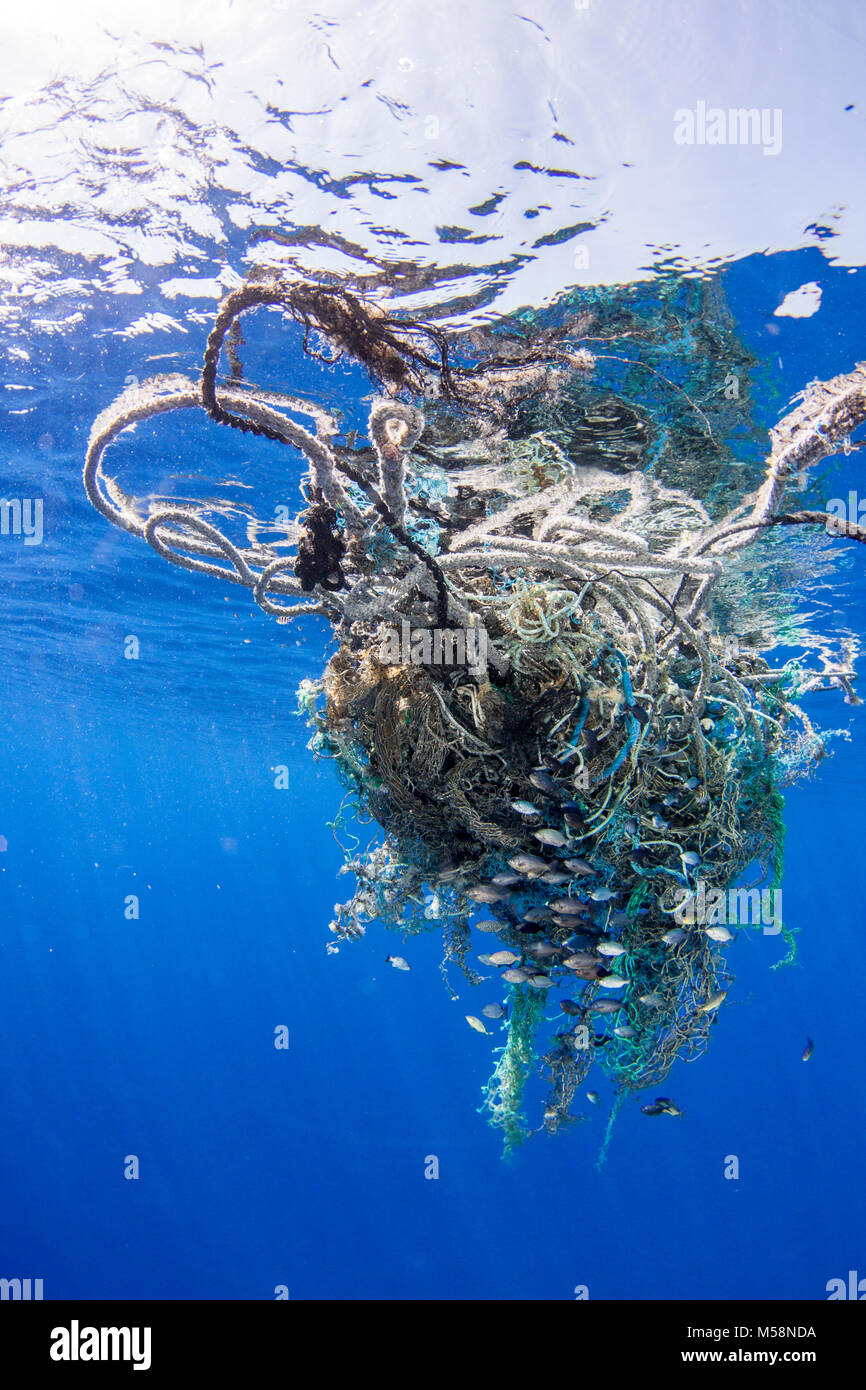 Accumuler des courants de débris marins dans les zones autour de l'océan mondial. Banque D'Images
