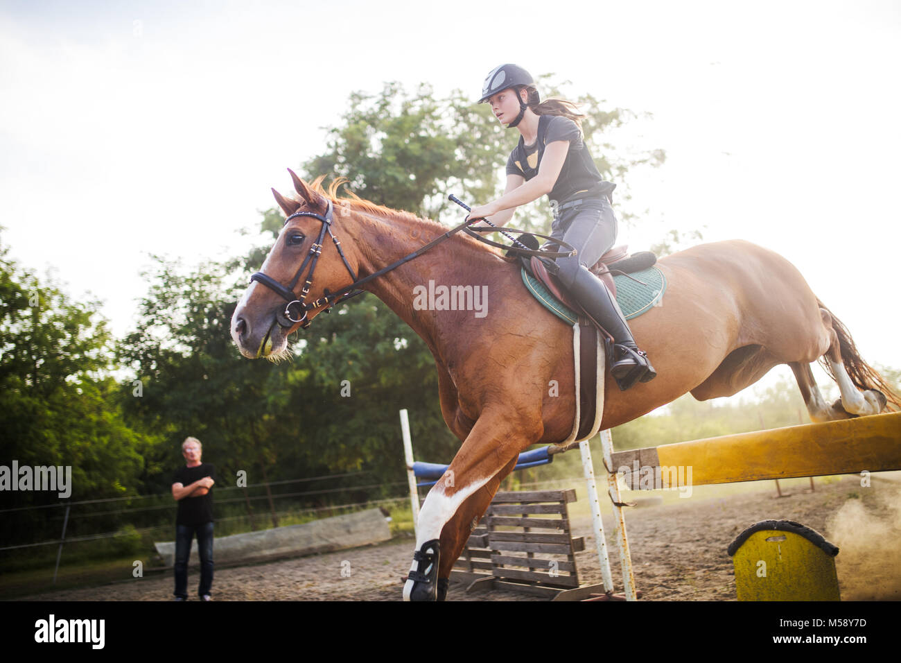 Jeune femme jockey à Cheval sautant par-dessus obstacle Banque D'Images