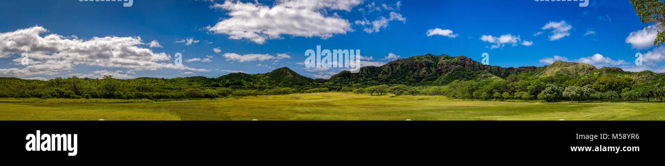 Vue panoramique d'une forêt près de Diamond Head à Oahu Hawaii 1 Banque D'Images