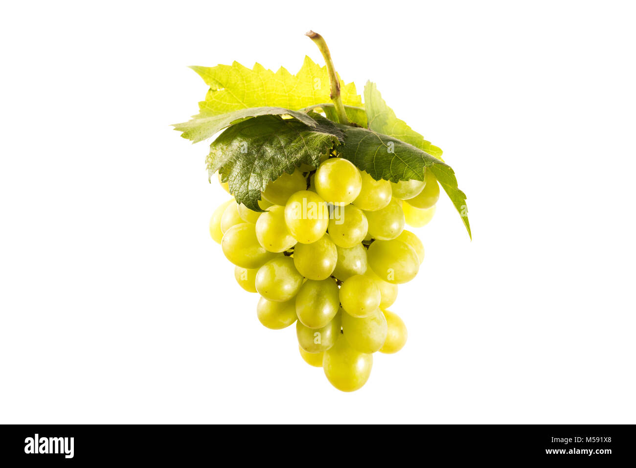 Vue rapprochée de grappe de raisins frais isolated on white Banque D'Images