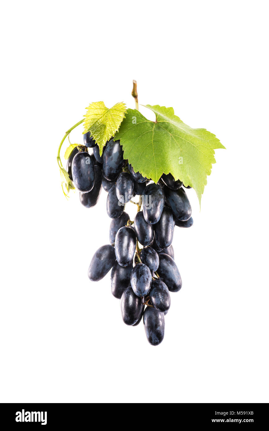 Vue rapprochée de grappe de raisins frais isolated on white Banque D'Images