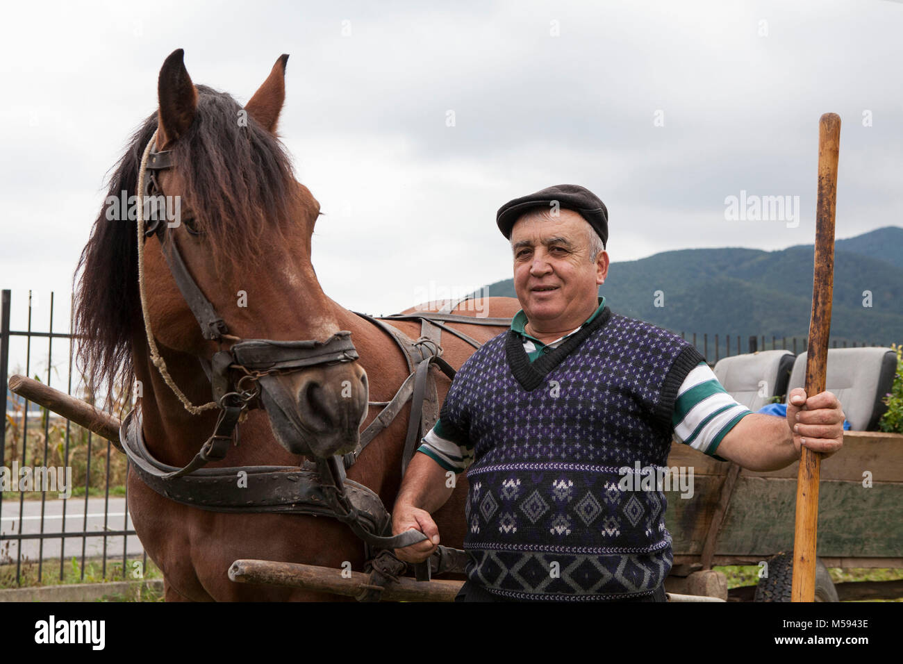 Travailleur agricole roumain avec cheval et panier Banque D'Images