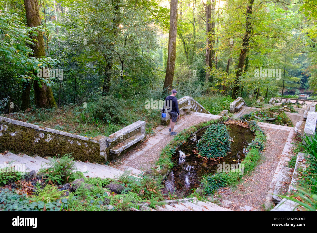 Bussaco Palace et jardins (maintenant Bussaco Palace Hotel) , commandé en 1888 par le Roi Charles I, près de Luso, Portugal Banque D'Images