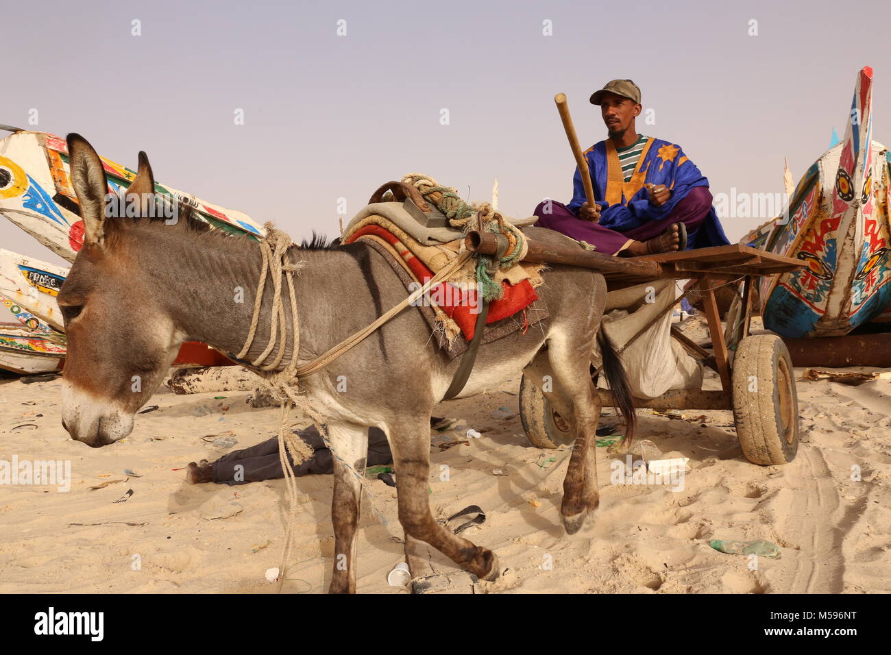 Tableau âne dans Mauritanie Banque D'Images