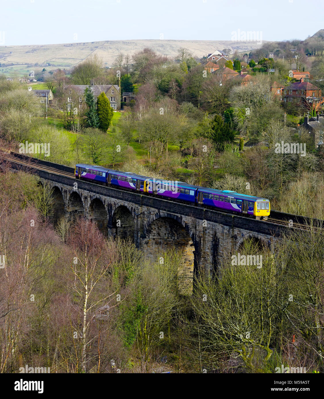 Trans-Pennine Uppermill au train viaduc Brownhill, Uppermill,Tameside,Greater Manchester, Angleterre, Royaume-Uni. Banque D'Images