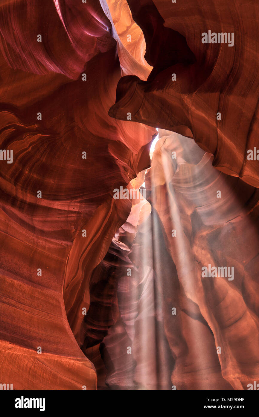 Slot Canyons dans le haut Antelope Canyon sur la nation navajo en Arizona. Banque D'Images