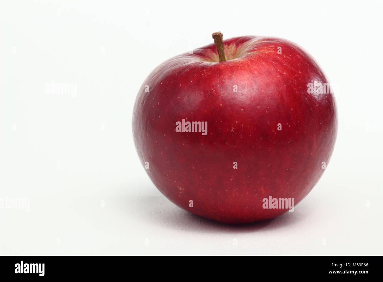 Malus domestica 'Red Devil', une variété de pomme, fond blanc, UK Banque D'Images