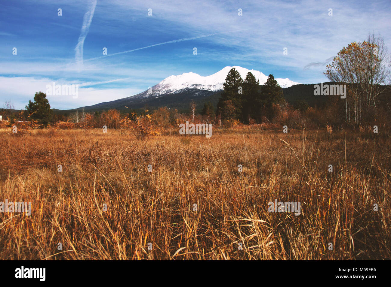 Mont Shasta Banque D'Images