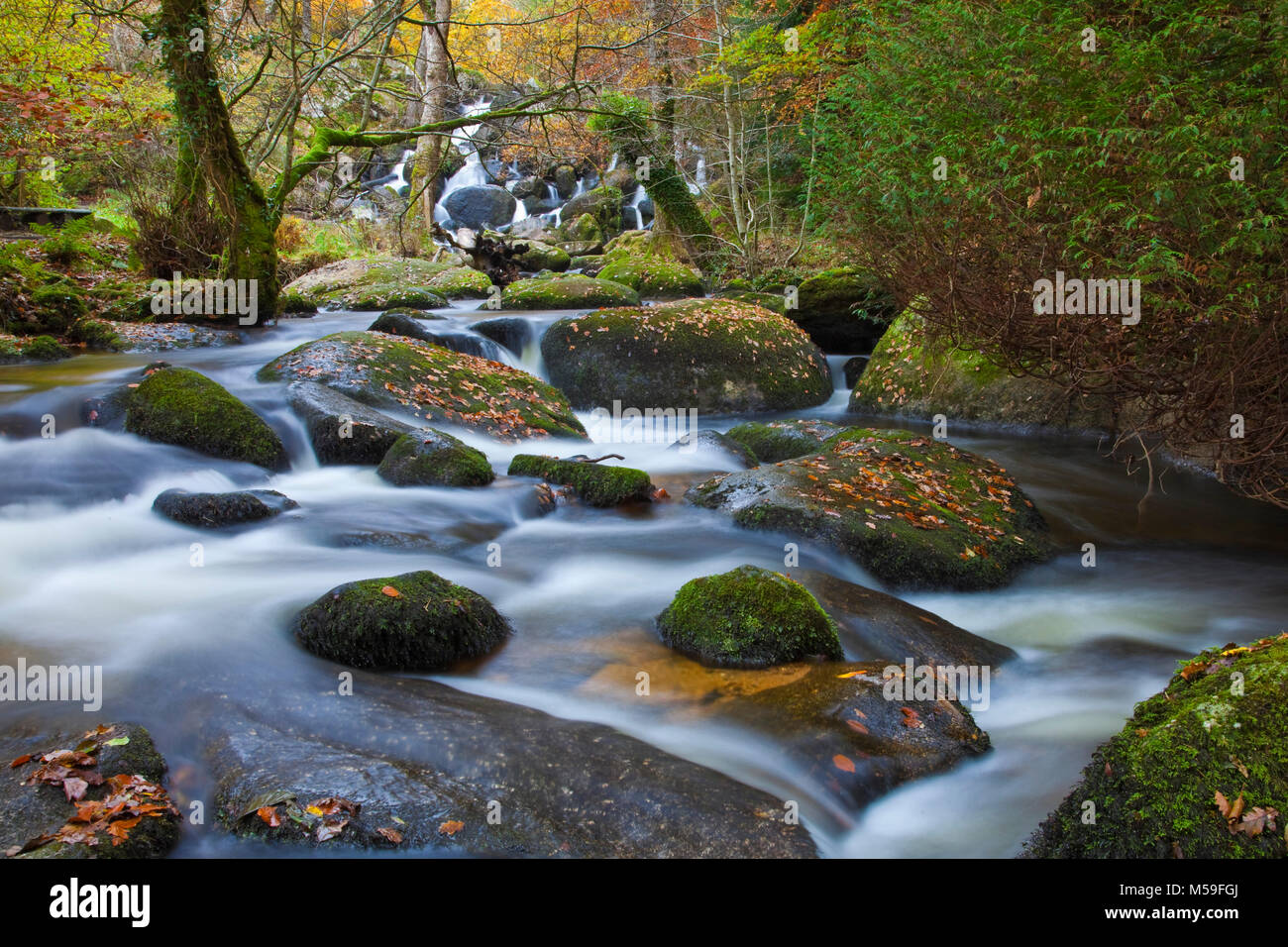 Becka Brook ci-dessous Becky Falls en automne Devon Dartmoor Banque D'Images