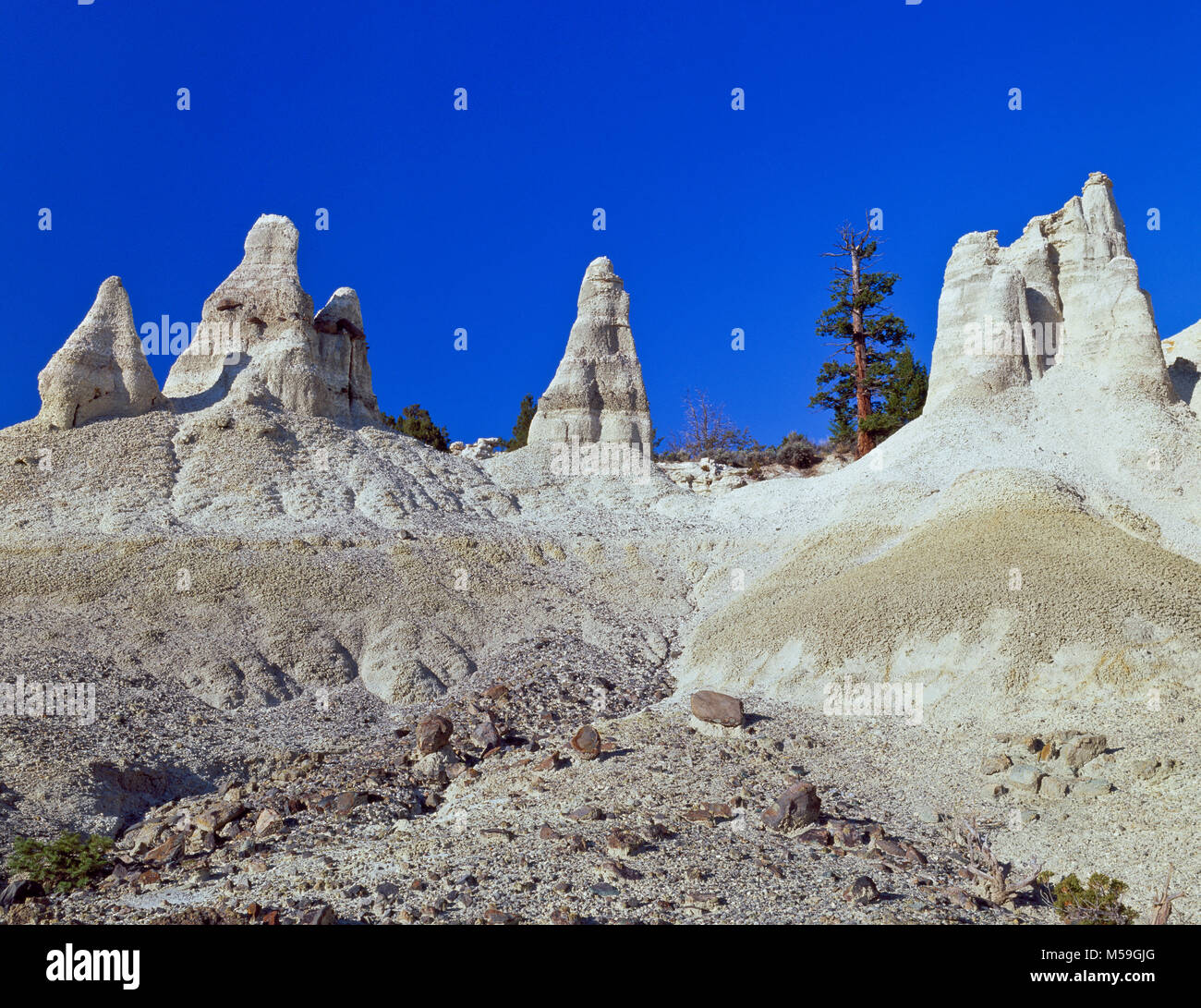 Pinacles érodés des cendres volcaniques et des sédiments tertiaires dans le secteur de terre blanche près de Winston, Montana Banque D'Images