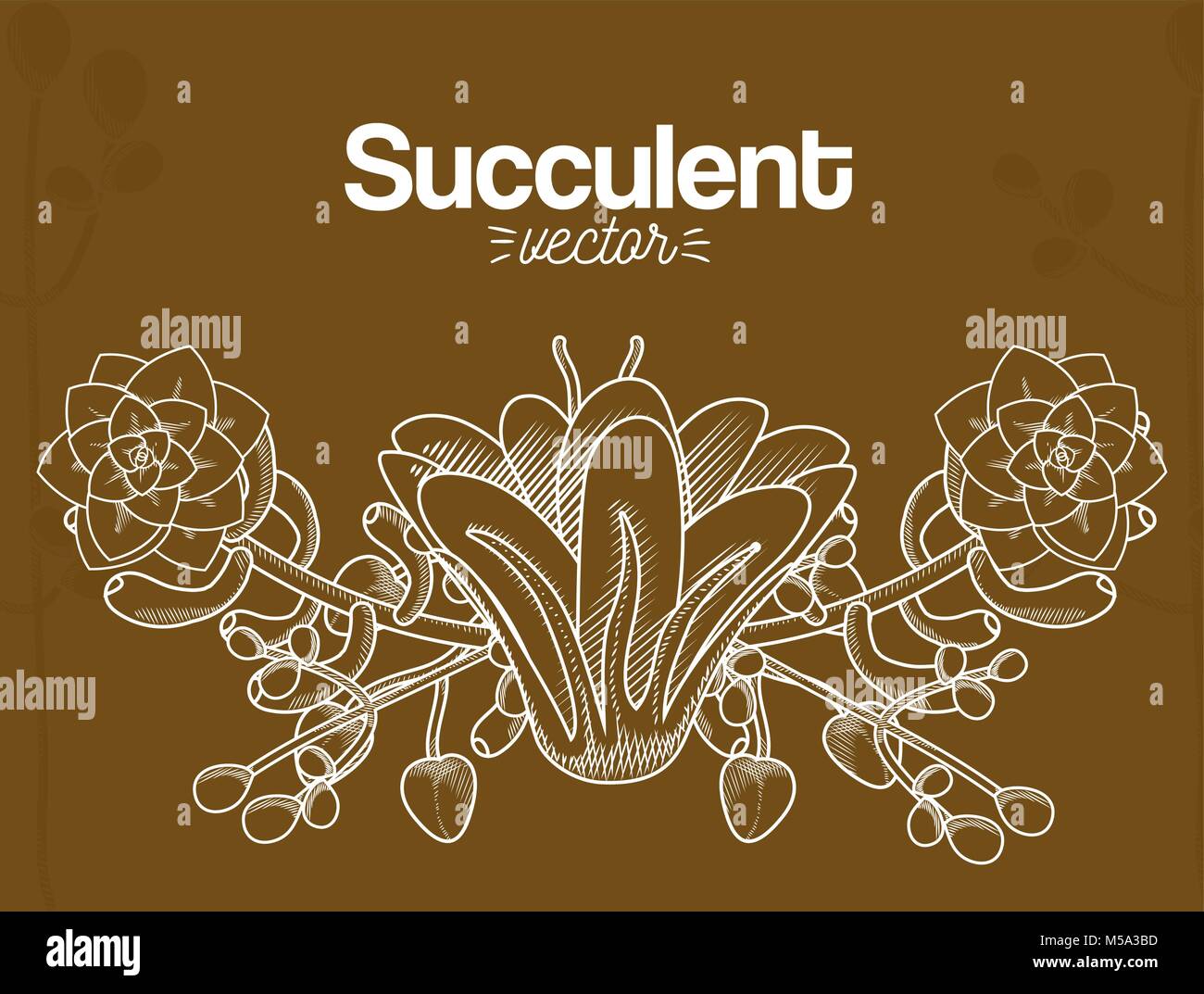 Succulentes plantes du désert Illustration de Vecteur