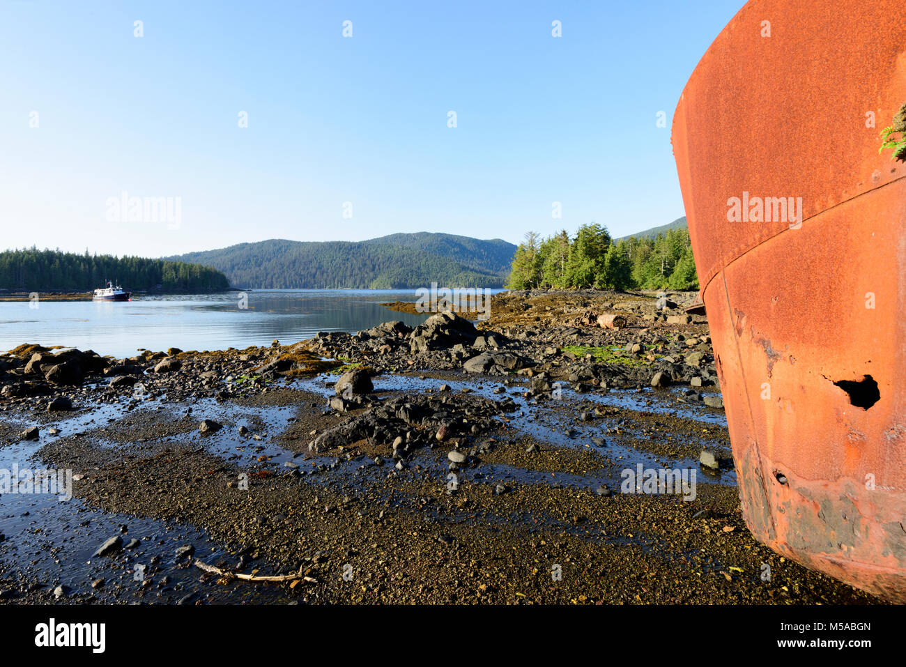 Amérique du Nord, Canada, Colombie-Britannique, Queen Charlotte Islands, côte ouest, Haida Gwaii, Gwaii Haanas, Réserve de Parc National , La Vieille Waling st Banque D'Images