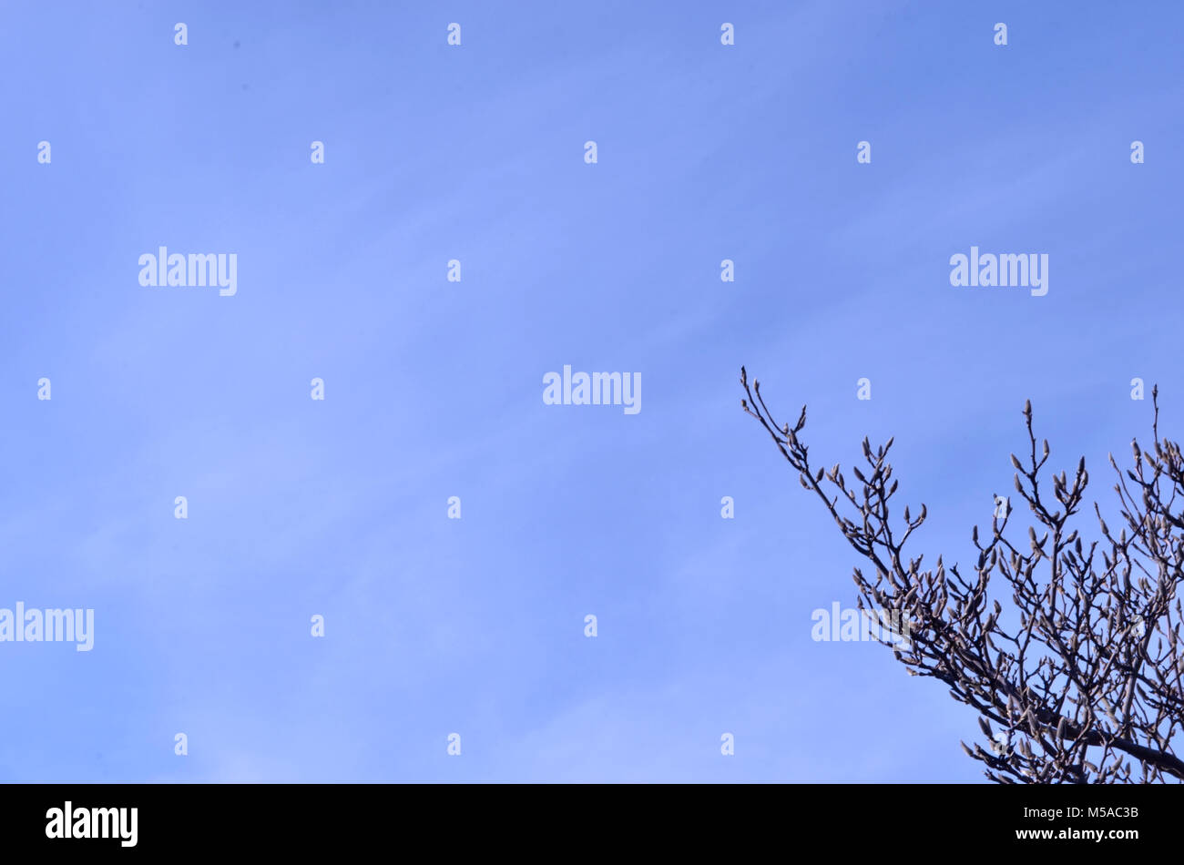 Ciel bleu avec des nuages et de la direction générale à Corner Banque D'Images