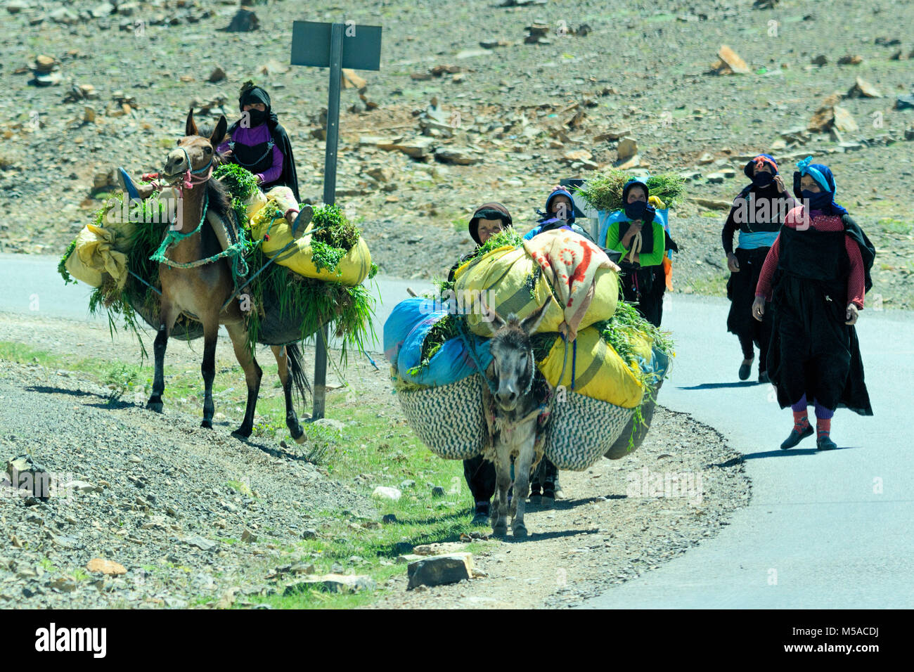 Le Maroc, marocain, les femmes berbères sur l'autoroute, l'Afrique du Nord, d'Afrique, d'Afrique Banque D'Images