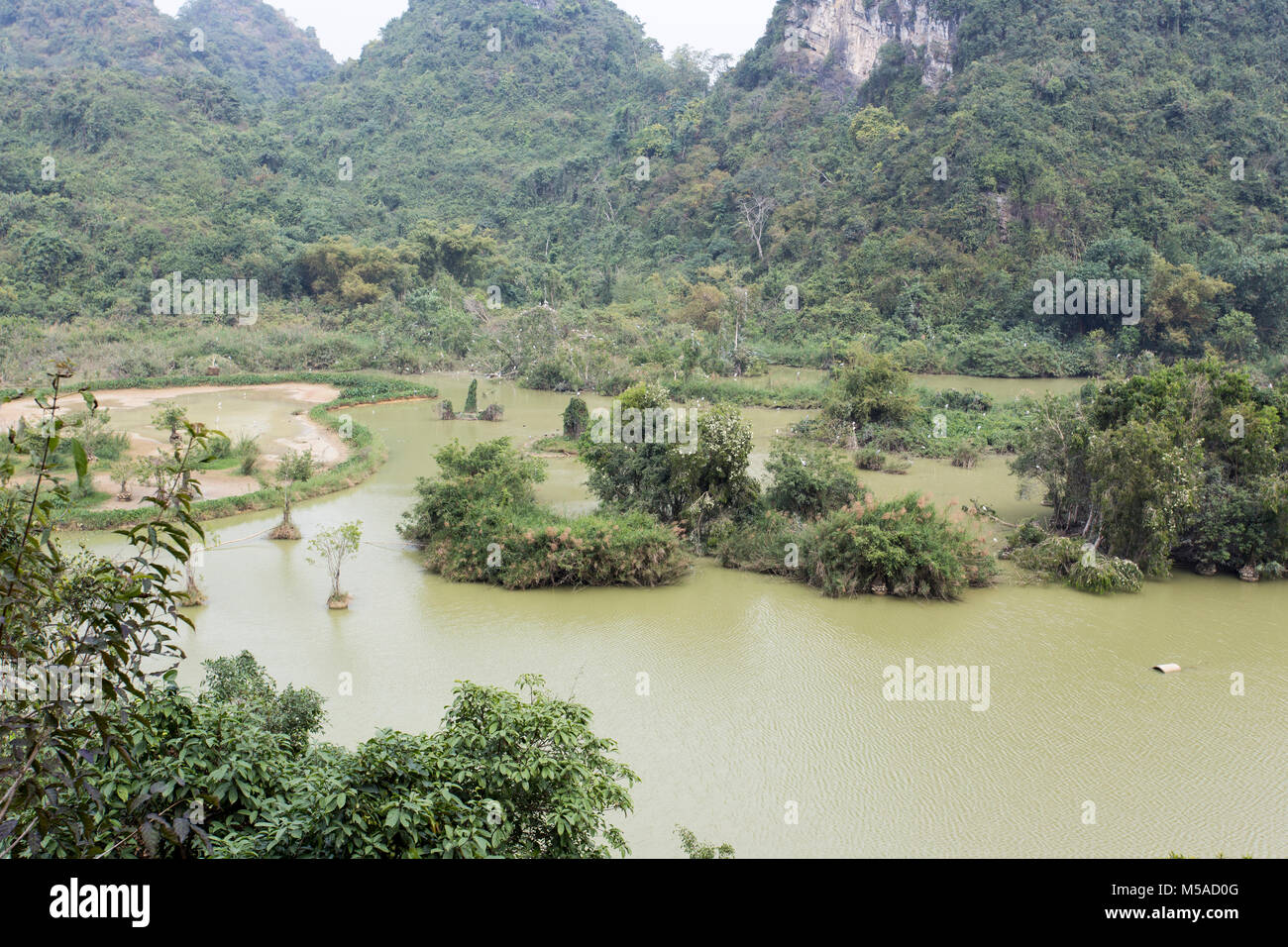 Parc naturel avec des oiseaux au Vietnam Banque D'Images