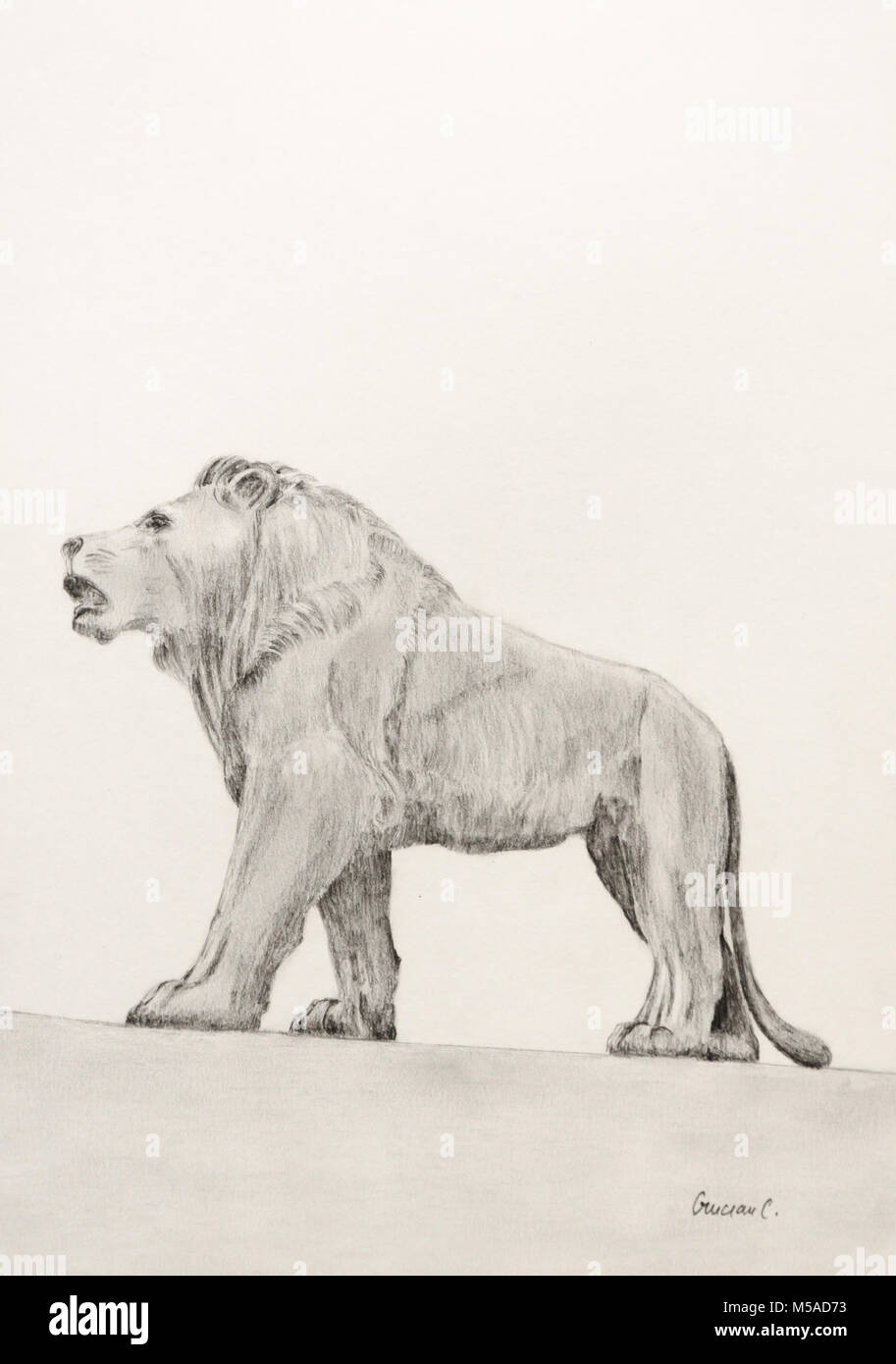 Peinture Lion Banque D'Images