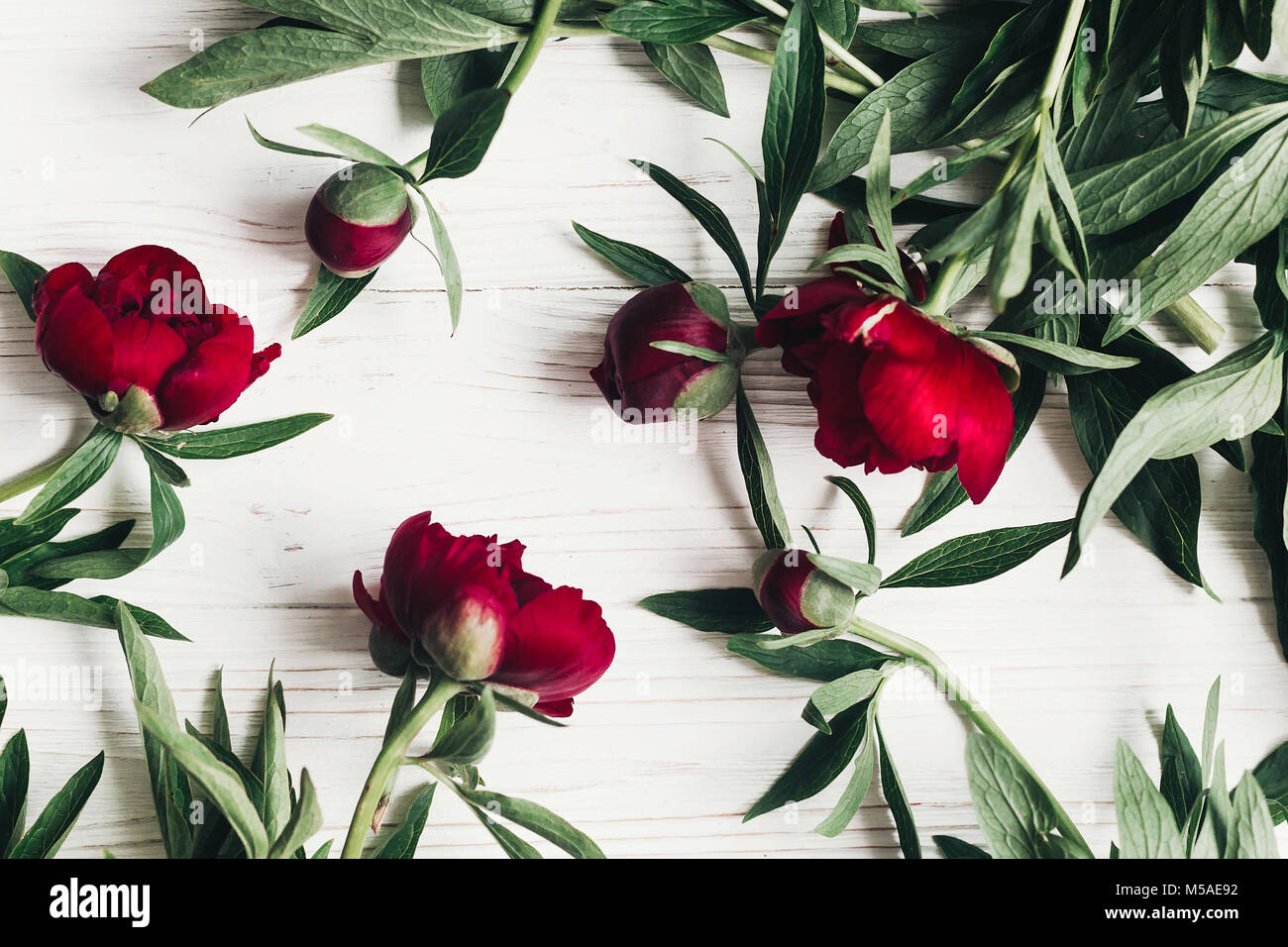 Belles Fleurs De Pivoines Rouge Bouquet Sur Fond Rustique En