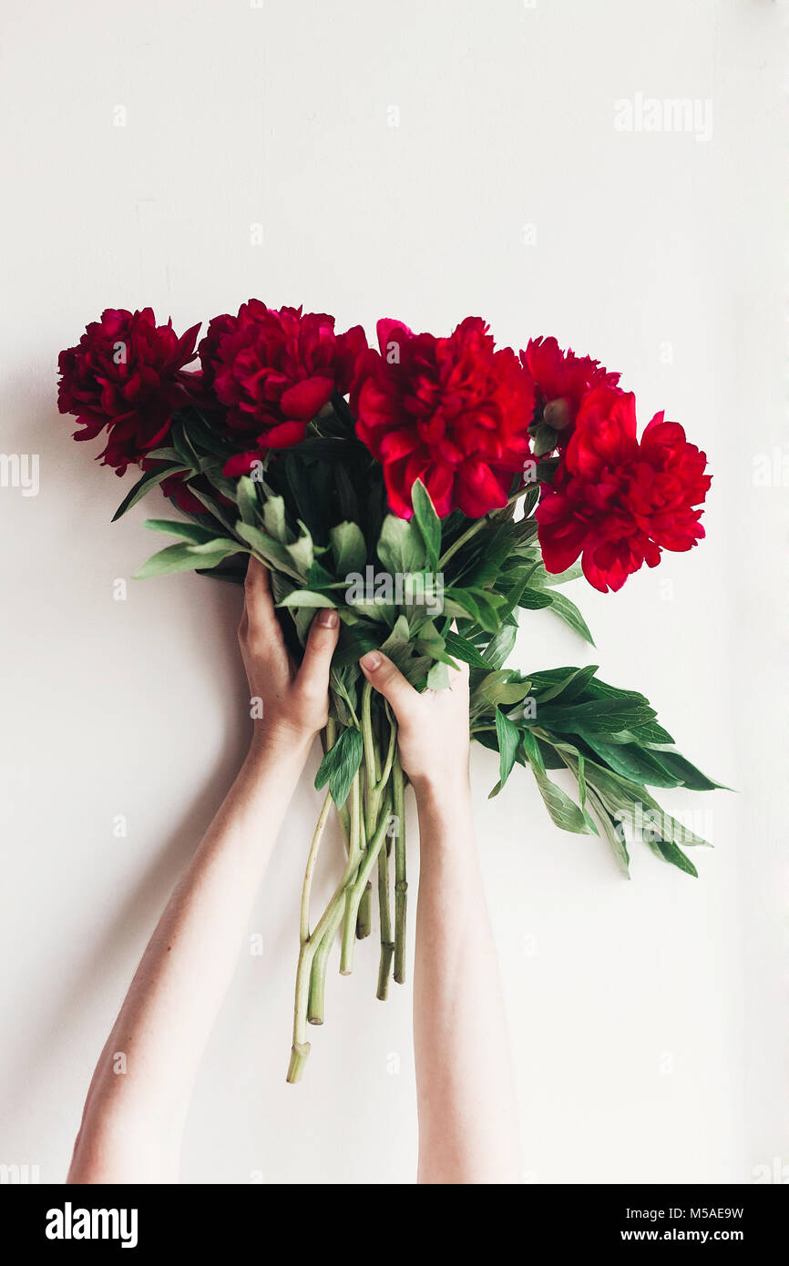 Mains tenant beau bouquet de pivoines rouges sur fond blanc rustique moderne image floral boho.. Bonne journée des femmes ou mères. fleuriste mariage valen. Banque D'Images