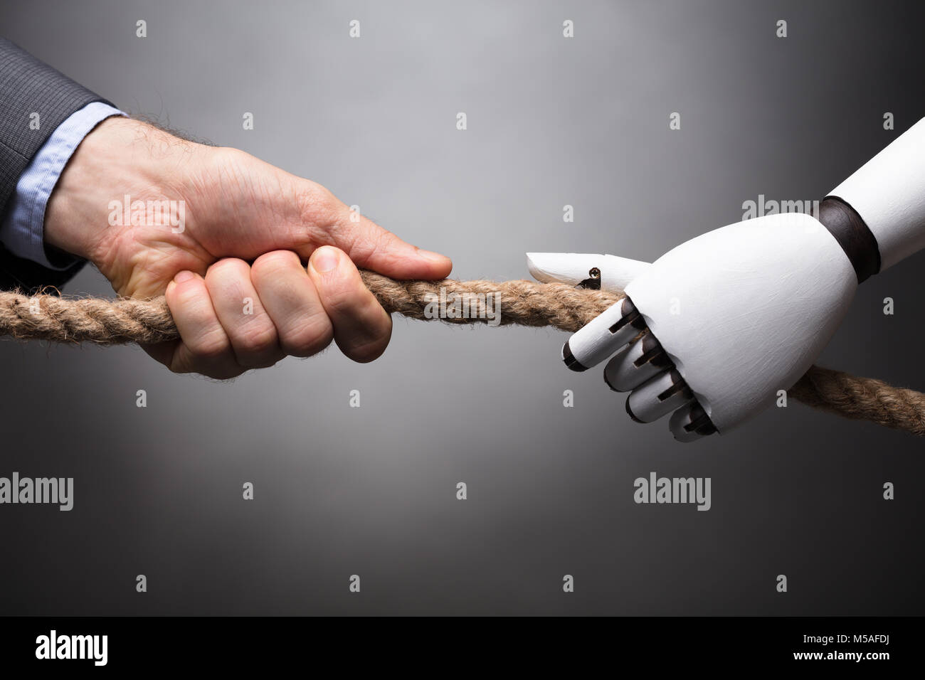Affaires et Robot Playing Tug of War sur fond gris Banque D'Images