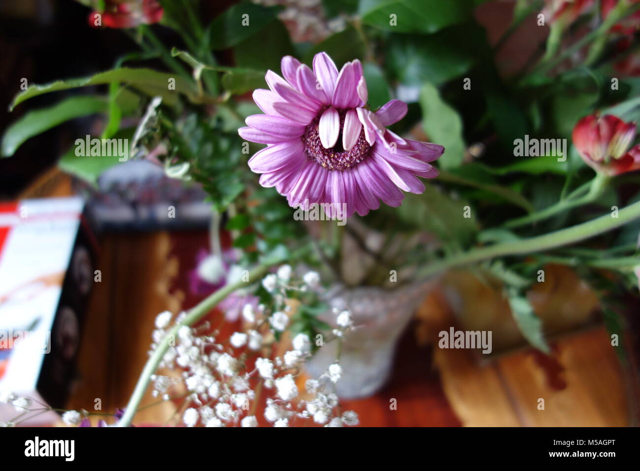 De jolies fleurs dans un vase Banque D'Images