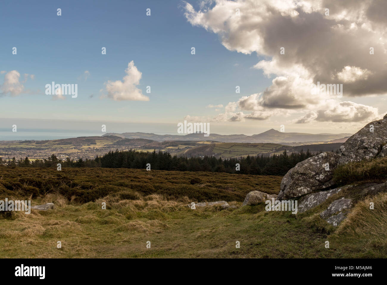 Ticknock est situé dans les montagnes de Dublin. Il offre une vue panoramique de Dublin et il est populaire auprès des marcheurs et vététistes. Banque D'Images