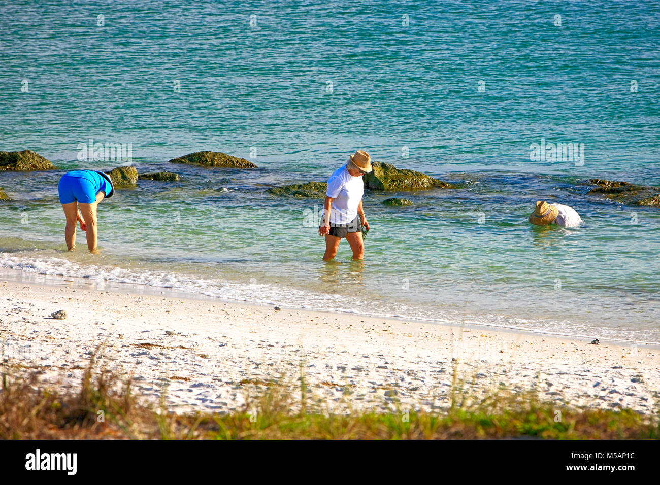 Dent de requin gens la chasse sur la plage à la pointe de Port Boca Grande en Floride, USA Banque D'Images